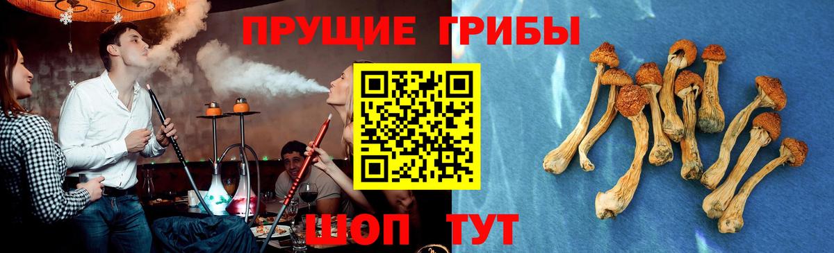 Галлюциногенные грибы MAGIC MUSHROOMS  Вход с VPN  Михайловка 