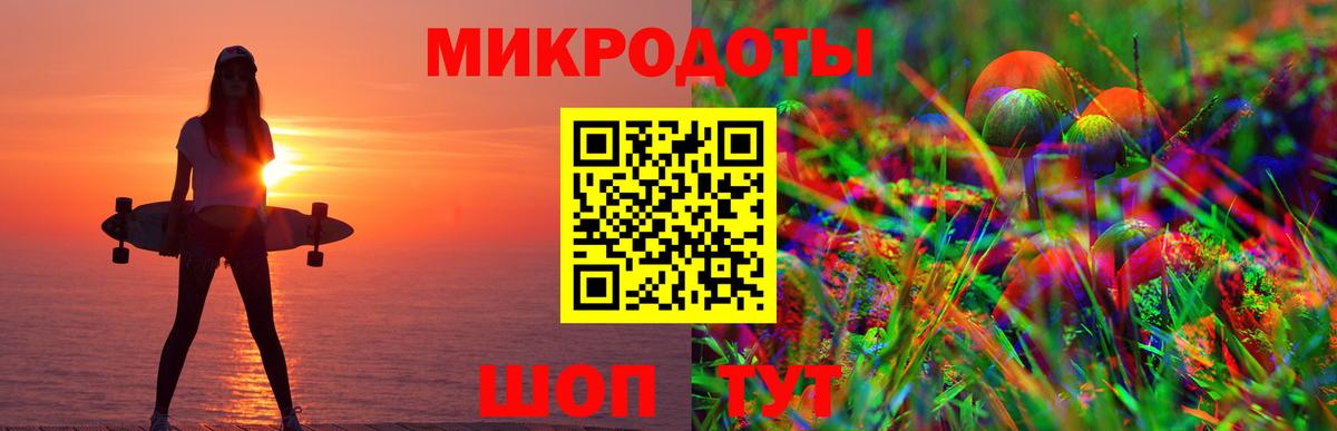 Псилоцибиновые грибы Psilocybe Михайловка